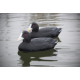 Higdon Foam Filled Coot Decoys 6 Pc
