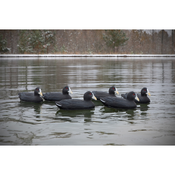 Higdon Foam Filled Coot Decoys 6 Pc