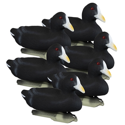 Higdon Foam Filled Coot Decoys 6 Pc