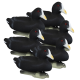 Higdon Foam Filled Coot Decoys 6 Pc