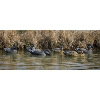Higdon Gadwall Duck Decoys 6 Pc. Higdon Gadwall Duck Decoys 6 Pc.