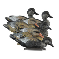 Higdon Gadwall Duck Decoys 6 Pc.