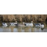 Higdon Pintail Duck Decoys 6 Pc.