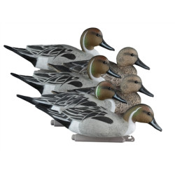 Higdon Pintail Duck Decoys 6 Pc.