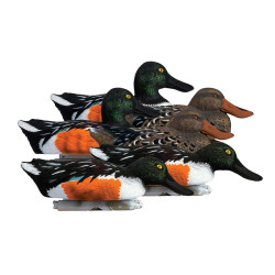 Higdon Shoveler Duck Decoys 6 Pc.