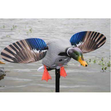 MOJO Outdoor King Mallard