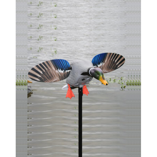 MOJO Outdoor King Mallard