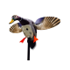 MOJO Outdoor King Mallard