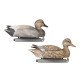 Tanglefree Pro Gadwall Duck Decoys Combo Pack Tanglefree Pro Gadwall Duck Decoys Combo Pack