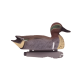 Tanglefree Pro Green Wing Teal Duck Decoys Combo Pack