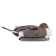 Tanglefree Pro Pintail Magnum Decoys Combo Pack Tanglefree Pro Pintail Magnum Decoys Combo Pack