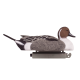 Tanglefree Pro Pintail Magnum Decoys Combo Pack Tanglefree Pro Pintail Magnum Decoys Combo Pack