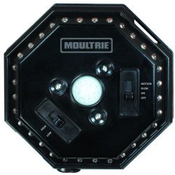 MOULTRIE Feeder Hog Light