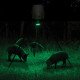 MOULTRIE Feeder Hog Light