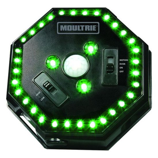 MOULTRIE Feeder Hog Light