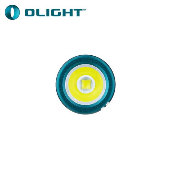 Olight i17 Checkered Flag USB-C Rechargeable EDC Keychain Flashlight Olight i17 Checkered Flag USB-C Rechargeable EDC Keychain Flashlight