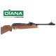 DIANA AIRGUN 54 AIRKING .22 Cal DIANA AIRGUN 54 AIRKING .22 Cal