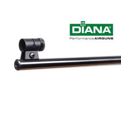 Diana Airgun Model 35 T06 .22 Cal