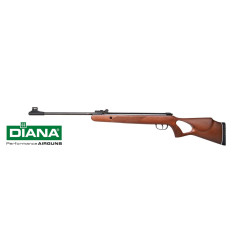 DIANA Two-Fifty .22 Cal