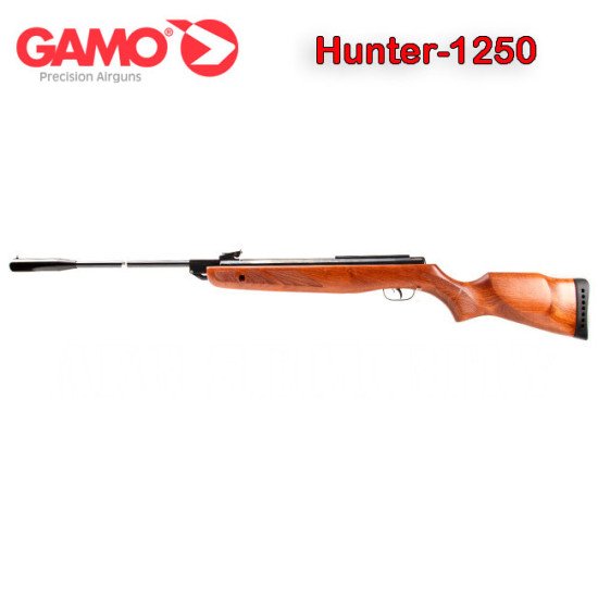 Gamo Hunter 1250 Airgun .22 Cal Gamo Hunter 1250 Airgun .22 Cal