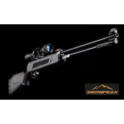 SPA Airgun WF600 .22 Cal. Synthetic