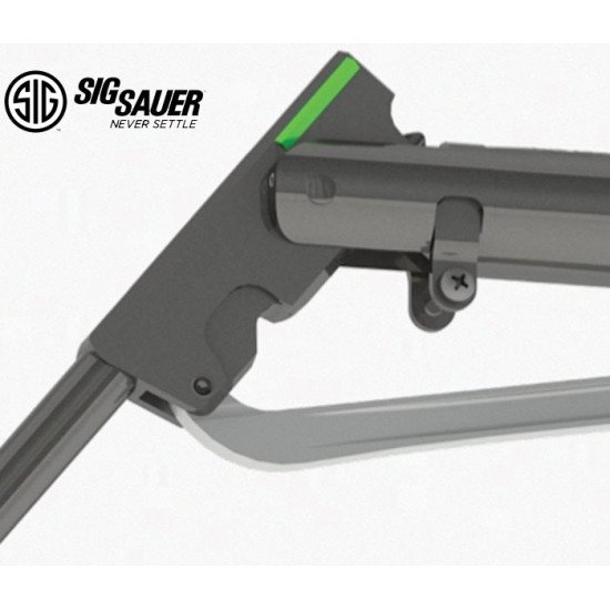 SIG SAUER ASP20 BREAK BARREL AIR RIFLE, .22CAL, SYNTHETIC