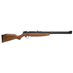 Benjamin Discovery Air Rifle .22