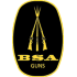 BSA Airguns