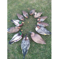 Mixed Premium Quality Duck Decoys 12 Pc.