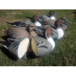 Pro Pintail Bullet Proof Decoys 6 Pc.