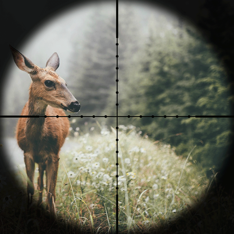 Center Point 3-9x32 Tactical Optics Adjustable Red Green Mil Dot Illuminated Reticle