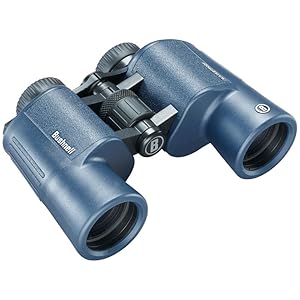 Bushnell-H2O-10x42mm-Binoculars-Waterproof-and-Fogproof-Binoculars-for-Boating-Hiking-and-Camping-134211R-20