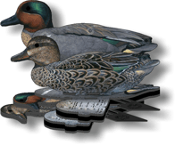 Green Wing Teal Foldable, Portable, Shotproof Decoys